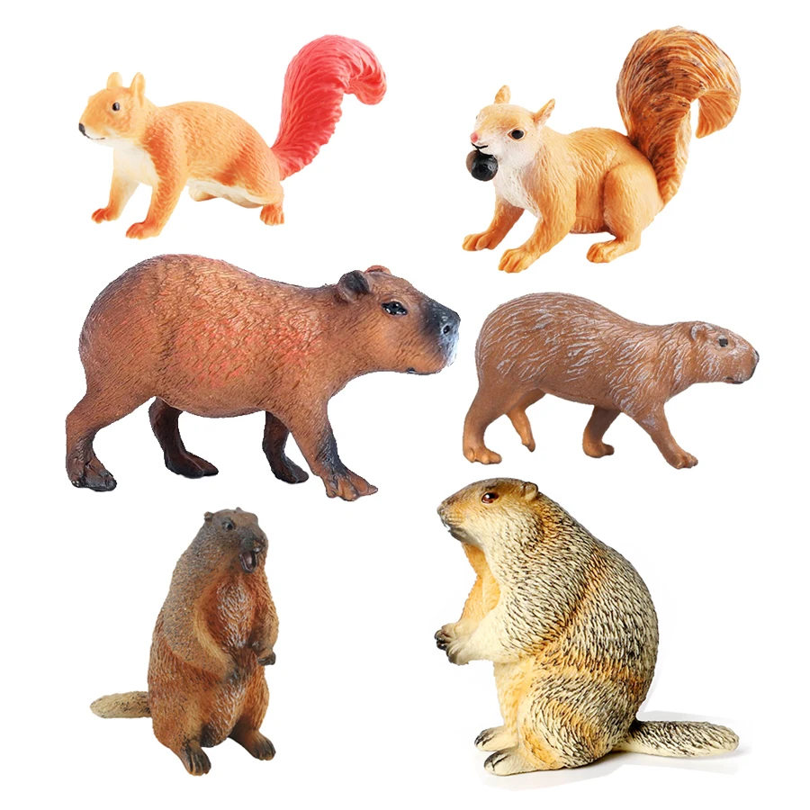 Kids Toys Reviews - Capibara Capybaras Scoiattolo Marmotta Figurine di
