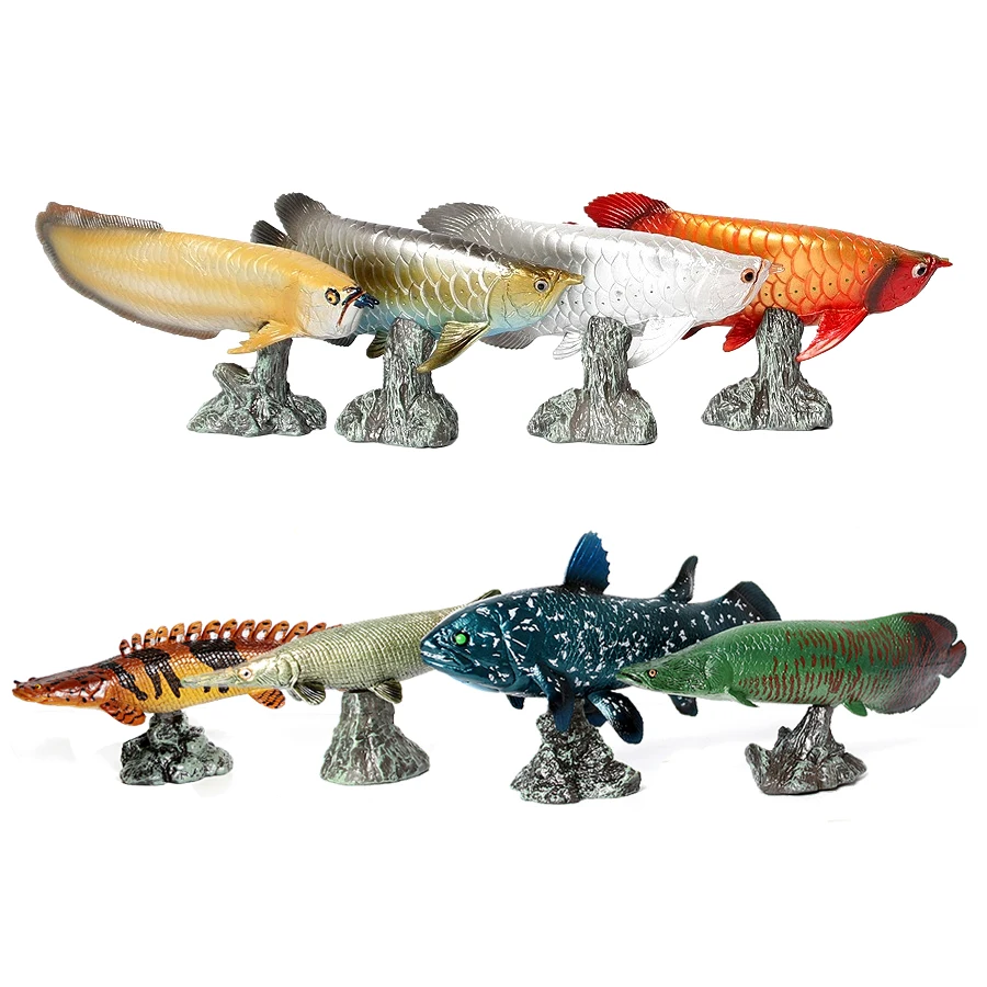 Modellini di Pesci Arowana, Pi - Kids Toys Reviews recensione e prezzo