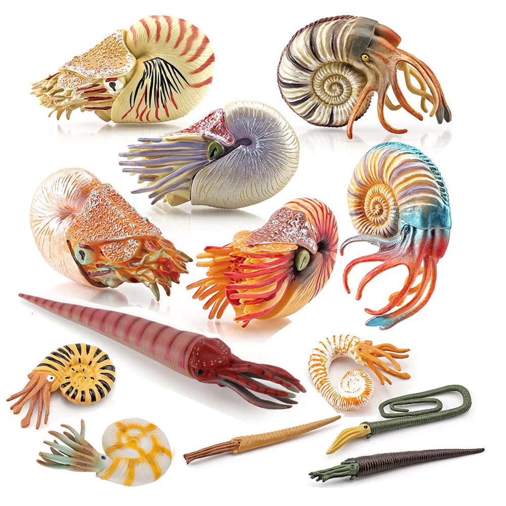 Animali Marini Giocattolo: Fig - Kids Toys Reviews recensione e prezzo